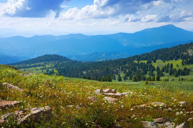 Simple  mountains landscape