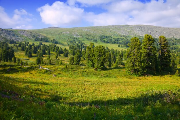 Простой пейзаж гор