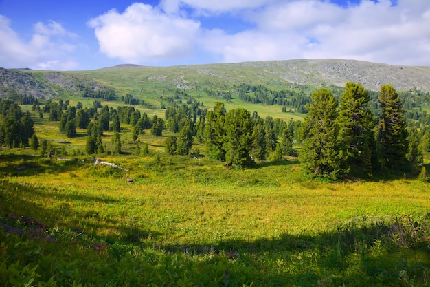 Simple  mountains landscape