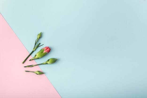 Simplistic flowers and background with copy space