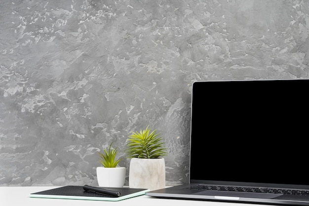 Simplistic workspace with home plants