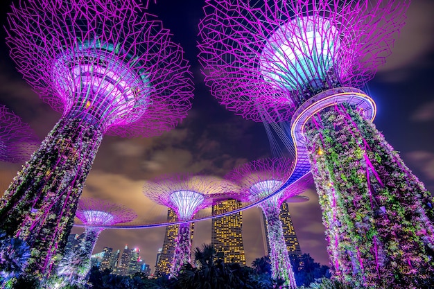 SINGAPORE - FEB 11 , 2017 : Singapore cityscape at night in Singapore.