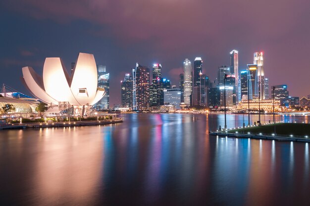 Premium Photo | Singapore skyline in night