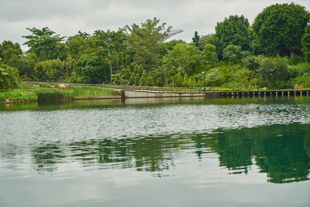 Сингапурский прекрасный парк пейзаж фоны
