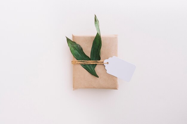 Single brown wrapped gift box tied with tag and leaves on white background