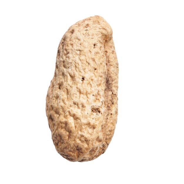 Один арахис со скорлупой на белом фоне