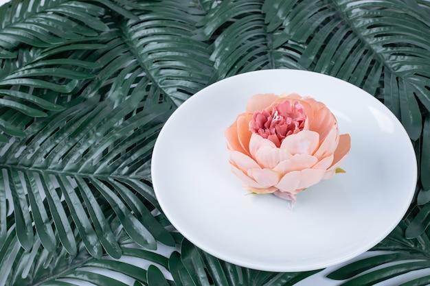 Free photo single rose on white plate with fake leaves.
