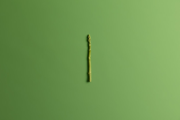 Single sprout of asparagus on bright green background. Seasonal raw vegetable for cooking. Spring healthy ingredient. Organic clean eating concept. Agricultural farming. Selective focus, top view