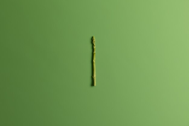 Single sprout of asparagus on bright green background. Seasonal raw vegetable for cooking. Spring healthy ingredient. Organic clean eating concept. Agricultural farming. Selective focus, top view