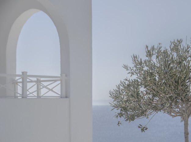 美しい海の近くの霧で覆われた白い建物の近くの緑の葉を持つ単一の木