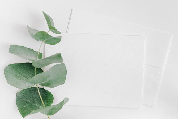 Single twig over the two envelope on white backdrop