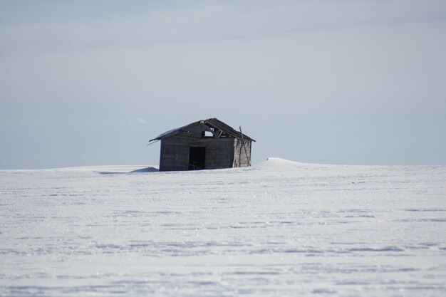 Single wooden cottage in the winter during daytime