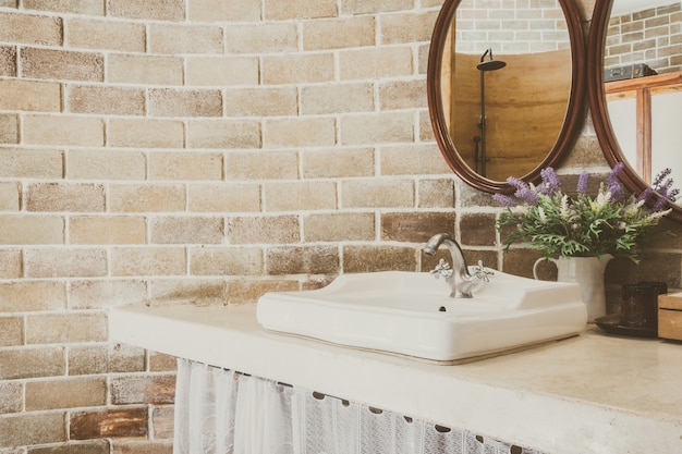 Sink with plant and mirrors