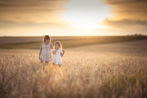 姉妹の女の子はライ麦の夕日とフィールドを歩きます