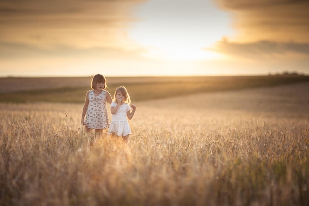 Sisters girls walk in the field with rye sunset