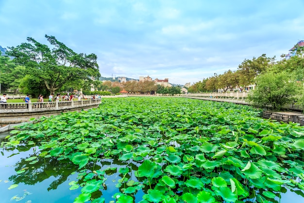 site antique retro buddhism pond