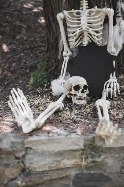 Sitting skeleton with skull and tablet in blot form near tree