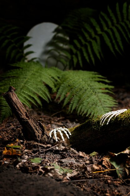 Skeleton hands on the ground in a cemetery