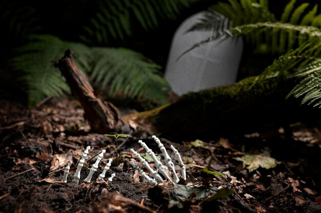 Skeleton hands on the ground in a cemetery