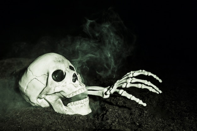 Skeleton's hand sticking out of skull on ground