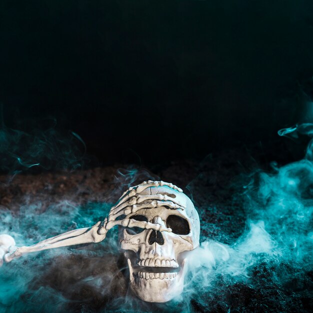 Skeleton's hand touching skull in blue fog on ground