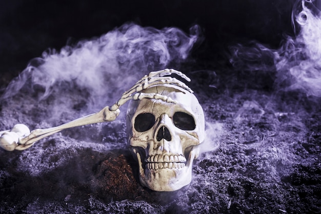 Skeleton's hand touching skull in fog on ground