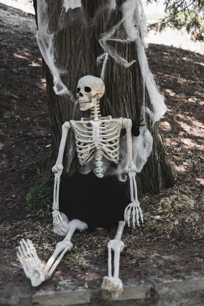 Skeleton sitting near tree decorated with spider and cobweb