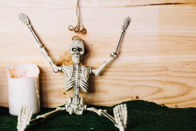 Skeleton sitting with hands up