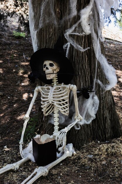 Skeleton in witch hat sitting near tree