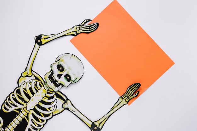 Skeleton with sheet of paper in hands