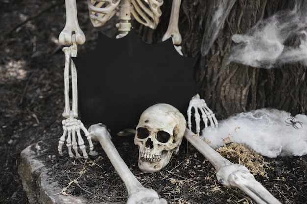 Skeleton with tablet in blot form sitting near skull and leaning on tree