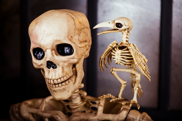 skeletons in composition