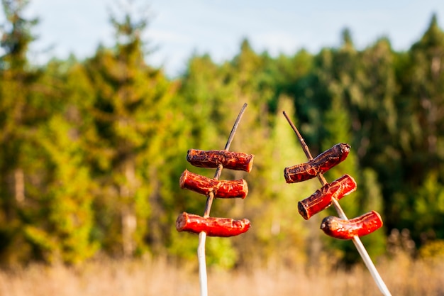 Spiedini di salsicce e foresta sfocata sullo sfondo