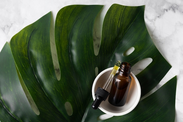 Free photo skincare products on big green leaf