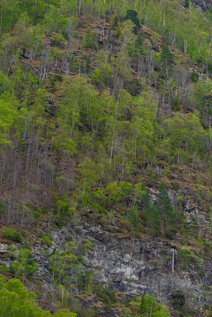 Foto gratuita skjolden norvegia 16 maggio 2023 montagna