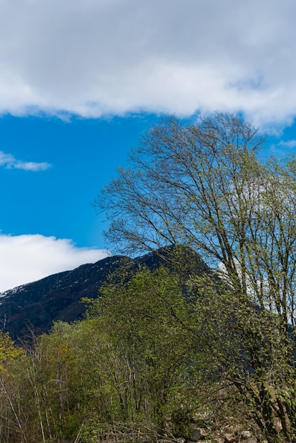 Foto gratuita skjolden norvegia 16 maggio 2023 montagna