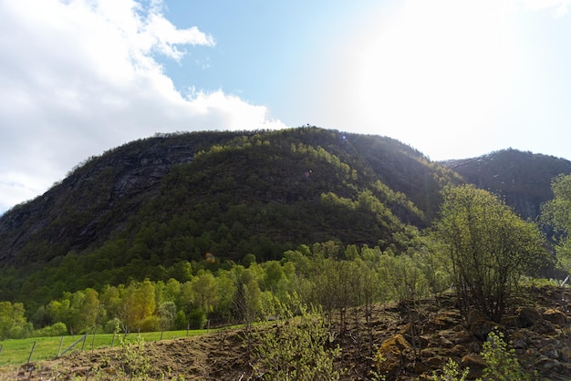 Foto gratuita skjolden norvegia 16 maggio 2023 montagna