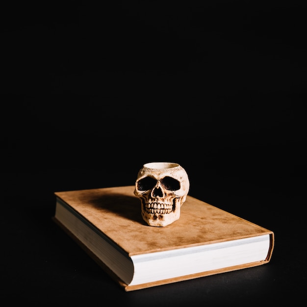 Skull on big book