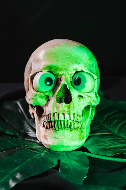 Skull illuminated by green light