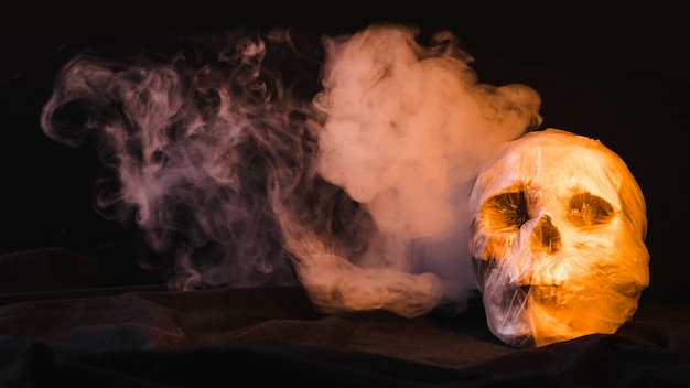 Free photo skull in plastic bag and smoky swirl