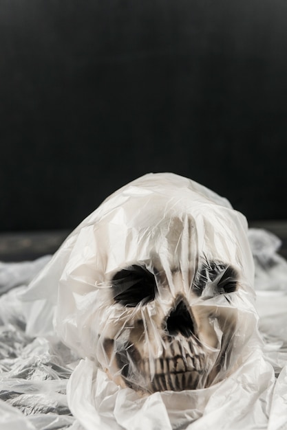 Free photo skull in plastic bag