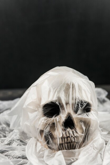 Skull in plastic bag