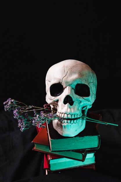 Skull with dry flowers and books