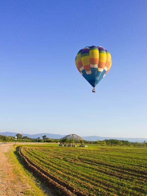 Foto gratuita cielo natura aerea cestino sfondo