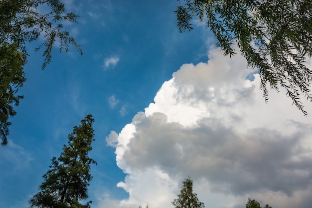 Free photo sky-clouds background.