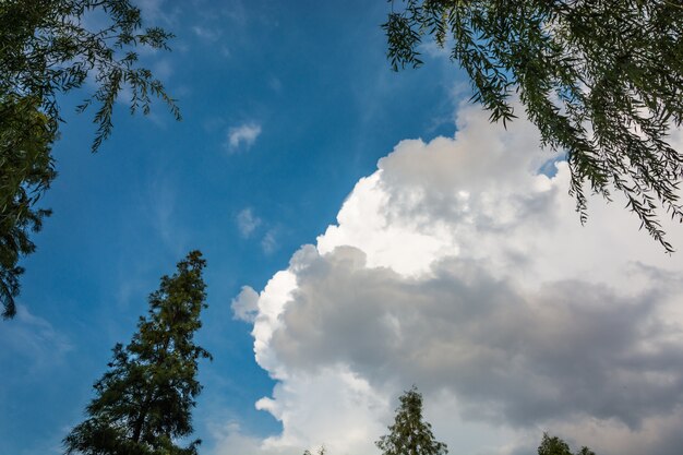 空の雲の背景。