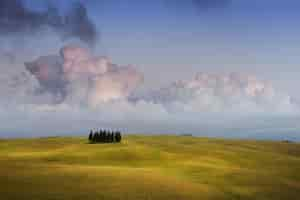 Foto gratuita cielo e cipressi