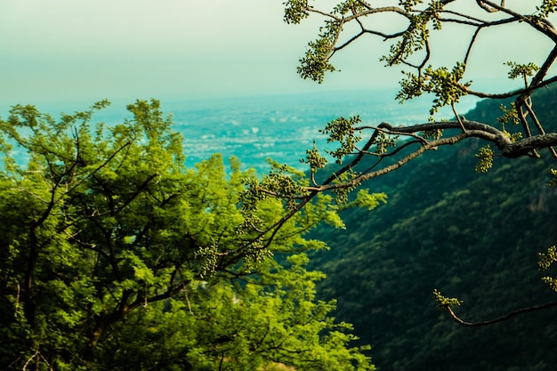 空の自然の丘の眺め