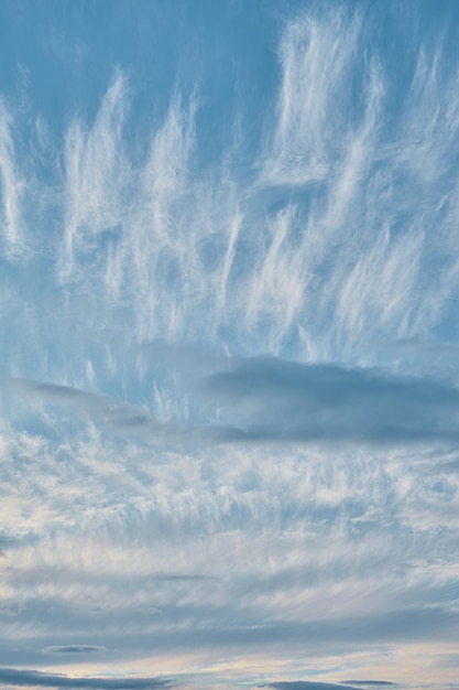 권운과 지층 구름이 있는 하늘 수직 프레임 광각 대비 주간 자연 배경