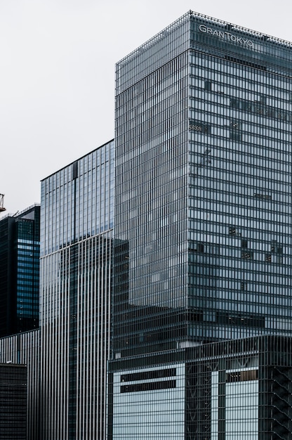 Skyscraper buildings in the city